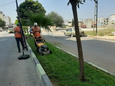 Kilis'te Caddelere Son Bahar Bakımı