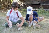 Oyun Oynarken Buldukları Yavru Köpekleri Harçlıklarıyla Süt Alarak Besliyorlar Haberi