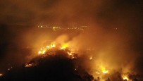 Pendik'te Korkutan Orman Yangını