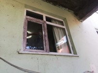 Alaplı'da 500 Kilo Fındık Çalındı