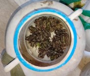 Bingöl'de Kurbağa Avlayan 5 Şahsa 9 Bin 700 TL Ceza Kesildi