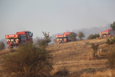 Bolu'da, 40 Hektarlık Alanda Etkili Olan Orman Yangını Kontrol Altına Alındı