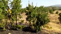 Elazığ'da Çıkan Yangında 50 Dekar Ormanlık Alan Zarar Gördü