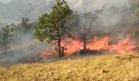Elazığ'da Orman Yangını Haberi