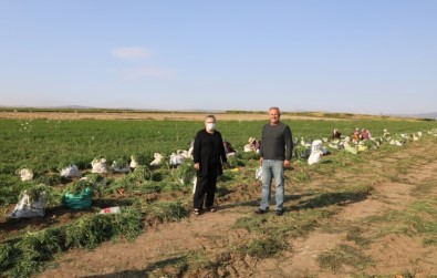 Eskişehir'de Üretilen Havuç Zincir Marketlerde Satılacak