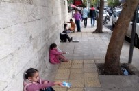 İstanbul'da Suriyeli çocukları dilendiren çete çökertildi