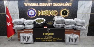 İstanbul'da Üç Katlı Villaya Uyuşturucu Baskını Açıklaması 188 Kilo Hint Keneviri Bitkisi Ele Geçirildi