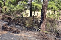 Ormanda Yanmış Halde Cesedi Bulunan Eski CHP İlçe Başkanının Katil Zanlısı Yakalandı Haberi