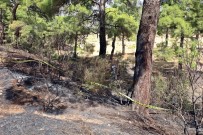 Ormanlık Alanda Bulunan Cesedin CHP'li Eski İlçe Başkanına Ait Olduğu Ortaya Çıktı
