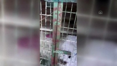 Sakarya'da Kaçak Hayvan Operasyonunda Bir Şüpheli Yakalandı