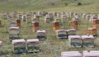Trabzon Arıcılar Birliği Başkanı Aydın Açıklaması 'Trabzon'da Bal Üretimi Geçen Yıla Oranla Yüzde 15 Arttı'