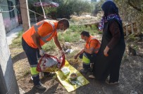 Altındağ Belediyesi, Minik Kedi Yavrularına Sahip Çıktı