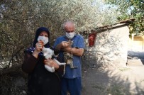 Altındağ Belediyesinden Minik Kedilere Mama Ve Bakım Desteği