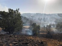 Arıcak'taki Orman Yangını Söndürüldü