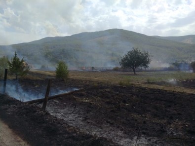Belen Kahvesi Mevkiindeki Yangın Kontrol Altına Alındı