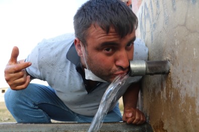 Kokusuna Aldırmadan Kana Kana İçiyorlar