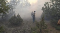 Kütahya'da Orman Yangını Haberi