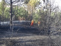 Kütahya'daki Orman Yangını Kontrol Altına Alındı Haberi