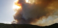 Manisa'da Orman Yangını Haberi