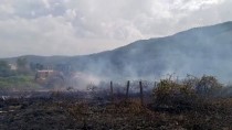 Muğla'da Çıkan Orman Yangını Kontrol Altına Alınmaya Çalışılıyor Haberi