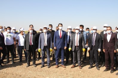 Silopi'de Yer Fıstığı Hasat Şenliği Başladı