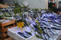 Sinop'ta Palamut 2 Lira