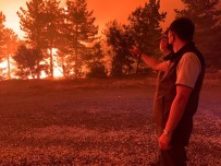 Bakan Pakdemirli Yangının Genişlememesi İçin Karşı Ateş Talimatı Verdi Haberi