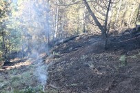 Bolu'da Orman Yangınında Soğutma Çalışması Sürüyor Haberi