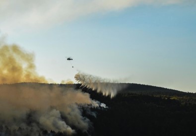 Kastamonu'da Dün Başlayan Orman Yangını Söndürüldü
