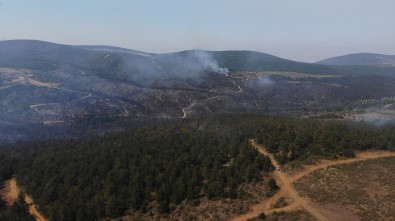 Kastamonu'da Ormanlık Alanda Çıkan Yangın Söndürülemiyor