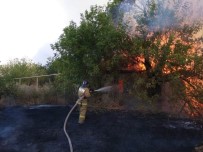 Rusya'daki Orman Yangınları Söndürülemiyor