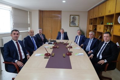 Trakya Birlik'ten Ayçiçeği Üreticisini Sevindiren Açıklama