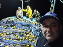 Balıkçılar Limana Kasa Kasa Palamutla Döndü Haberi