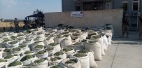 Diyarbakır'da Son 9 Ayda 97 Milyon Kök Kenevir Ve 42 Ton Esrar Ele Geçirildi