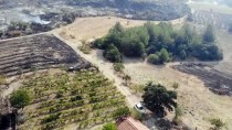 GÜNCELLEME - Manisa'da Çıkan Orman Yangını Kontrol Altına Alındı Haberi