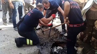 Kocaeli'de Kanalizasyona Düşen Köpek Yavrusunu İtfaiye Kurtardı