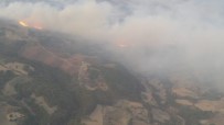 Manisa'daki Orman Yangını Kontrol Altına Alındı Haberi