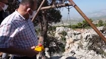 Mersin'de Olgunlaşan Obruk Peynirleri Mağaralardan Çıkarılmaya Başlandı Haberi