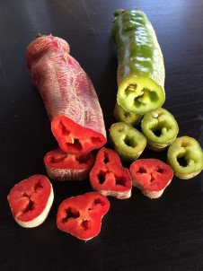 Bu Bostanda Çeşit Çeşit Biber Ve Domates Yetişiyor