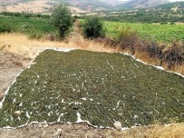 Diyarbakır'da 1 Ton 418 Kilogram Esrar Ele Geçirildi Haberi