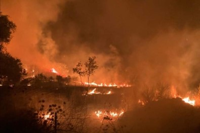 İzmir'de Evde Çıkan Yangın Zeytinlik Alana Sıçradı