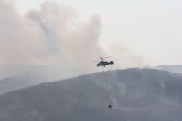 Kastamonu'da Çıkan Orman Yangınını Söndürme Çalışmaları Devam Ediyor Haberi