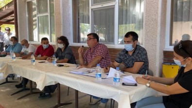 Muğla'da Limon İhalesi