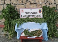 Tunceli'de Uyuşturucu İle Mücadele