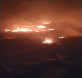Yalova'da Orman Yangını Yerleşim Bölgesine Yaklaştı