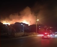 Yalova'da Orman Yangını