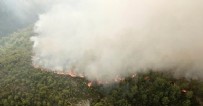Hatay'da korkutan yangın !