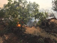 Ormanlık Alandaki Yangın İmece Usulü Söndürüldü Haberi