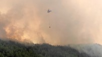 Samandağ'da Korkutan Yangın