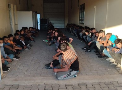 Van'da 17 Kişilik Minibüste 65 Kaçak Göçmen Yakalandı